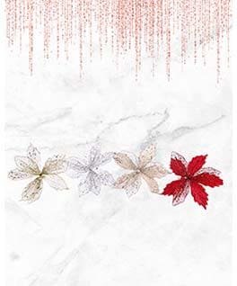 15X22CM FLOR NAVIDEÑA SURT